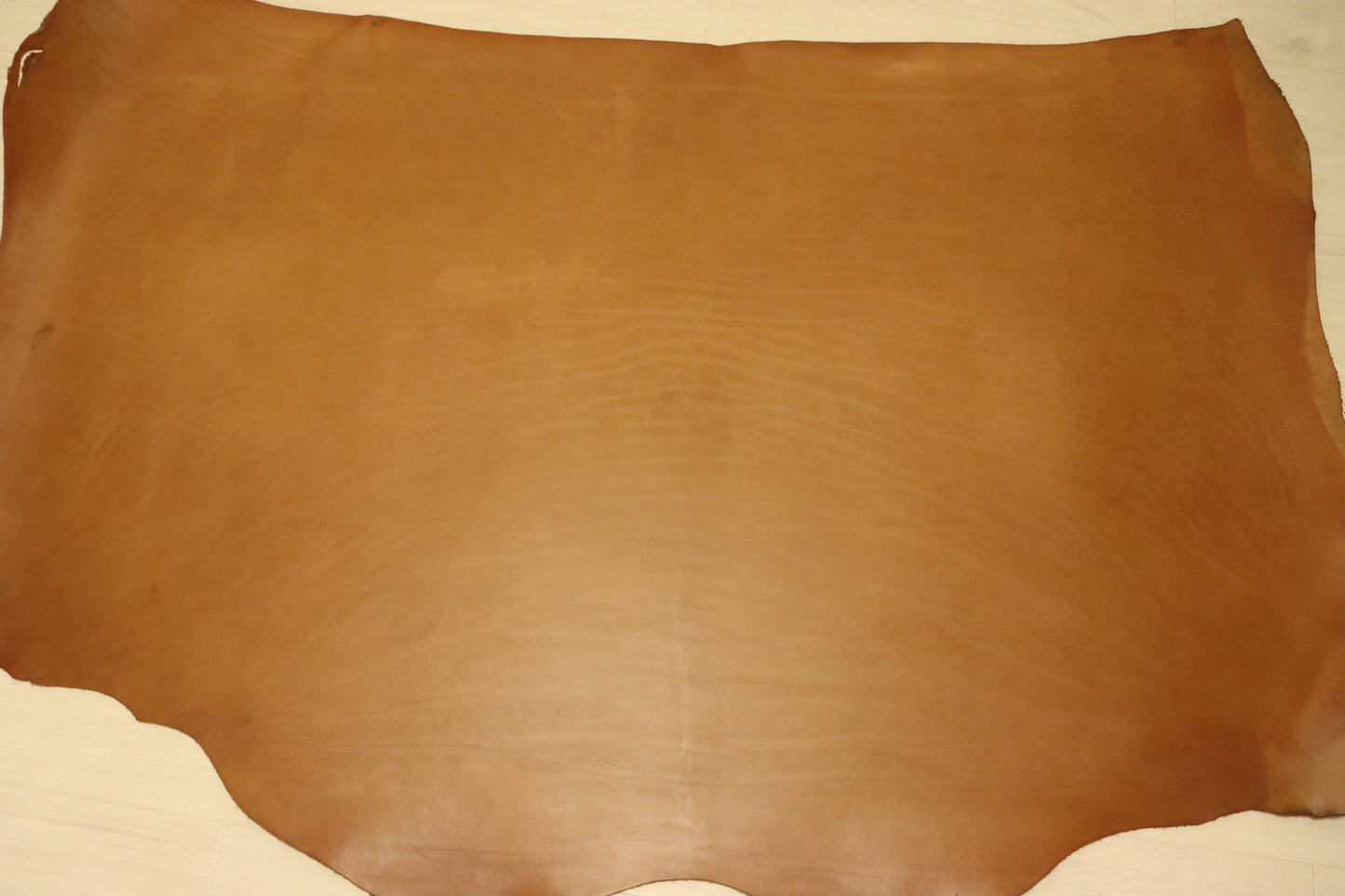 ds75円!新入荷!上質!TAN オイルヌメ ショルダー 170ds