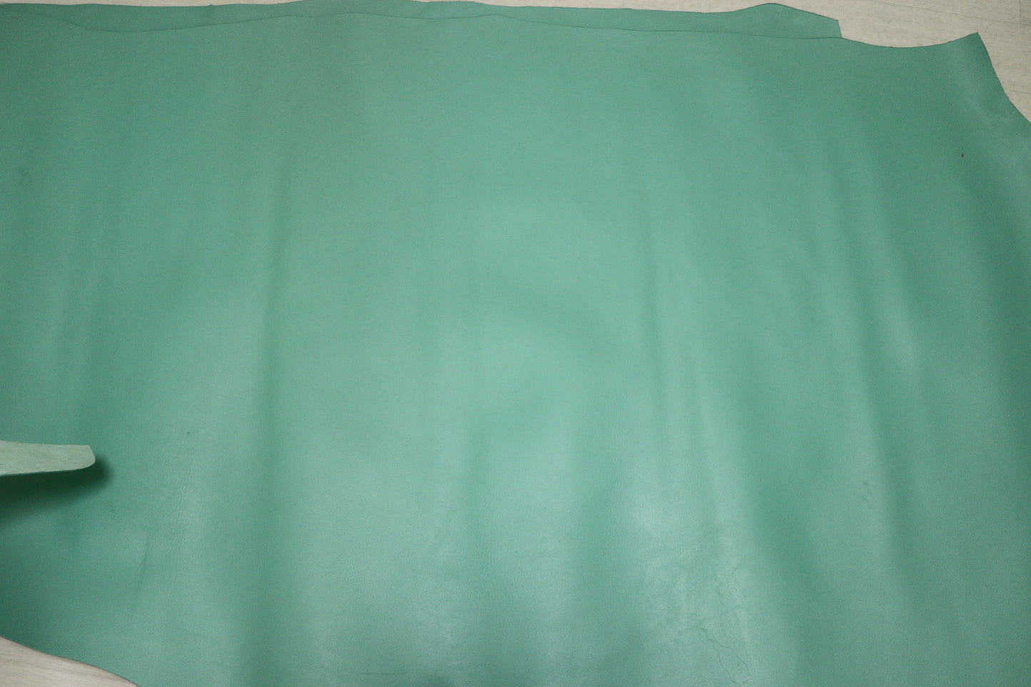 ds25円!新入荷!やや訳あり 顔料仕上げ アップルグリーン 230ds