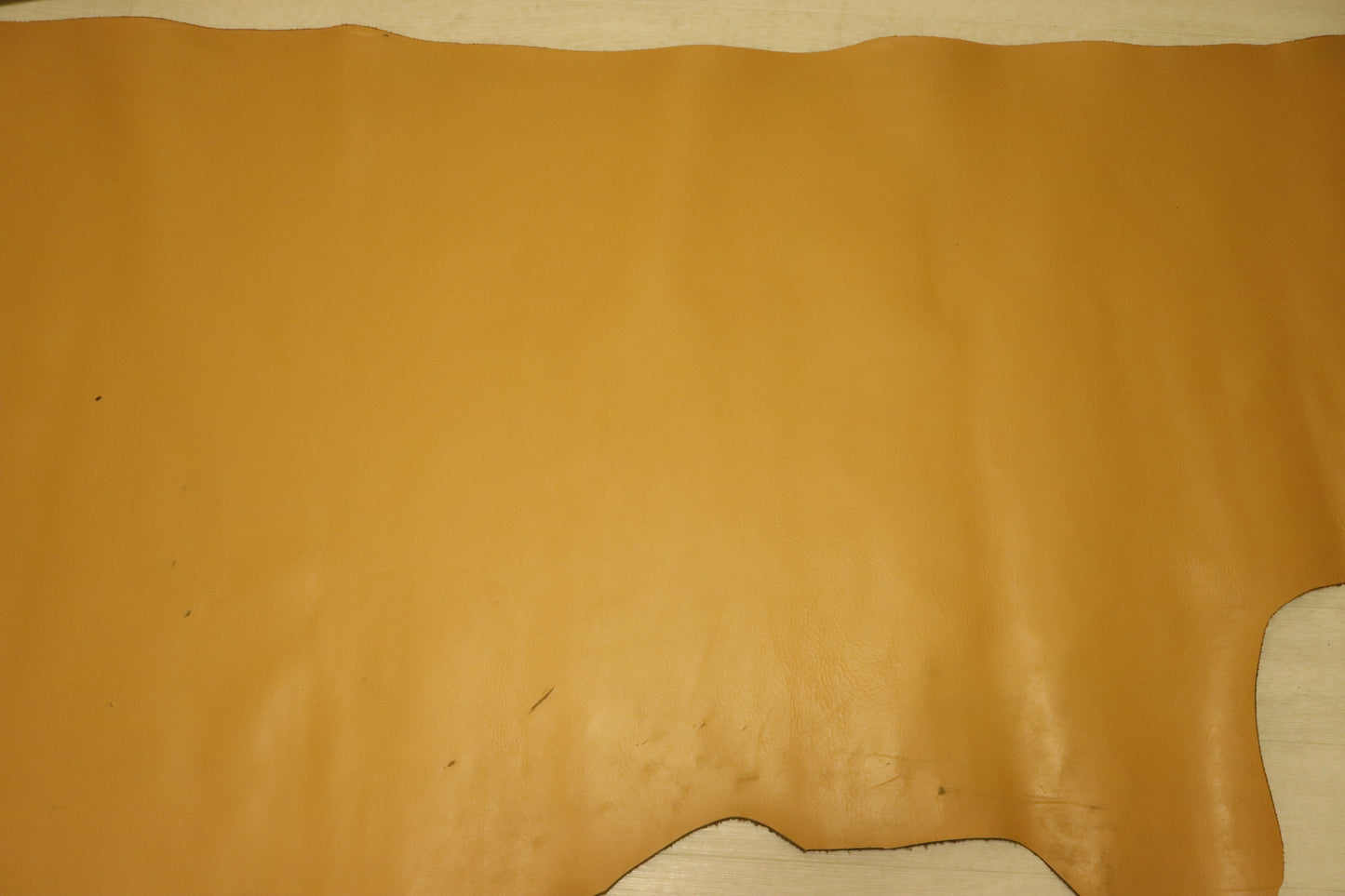 ds25円!姫路レザー やや訳あり 顔料仕上げ マスタード 240ds