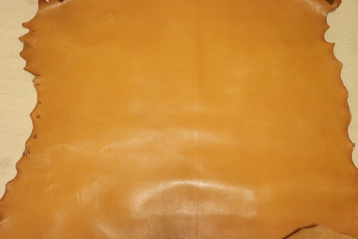 ds28円!新入荷!アメ豚 イエローキャメル ヌメ革 120ds