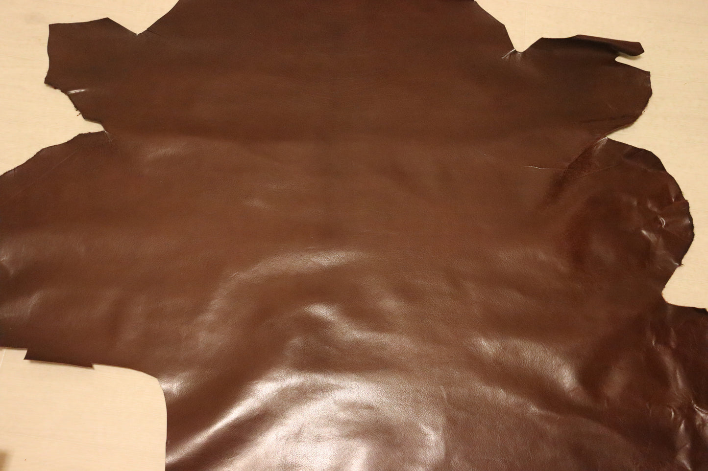 ds30円!新入荷!アニリン仕上げ チョコブラウン バッファロー 100ds