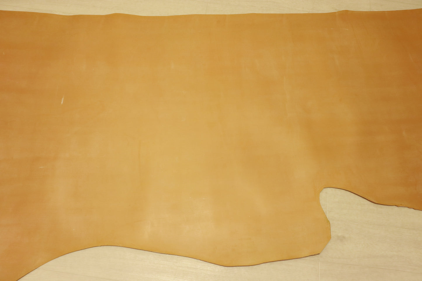 ds150円!新入荷!上質!ブライドルレザー ブラウン ヌメ革 ウイスキー 180ds