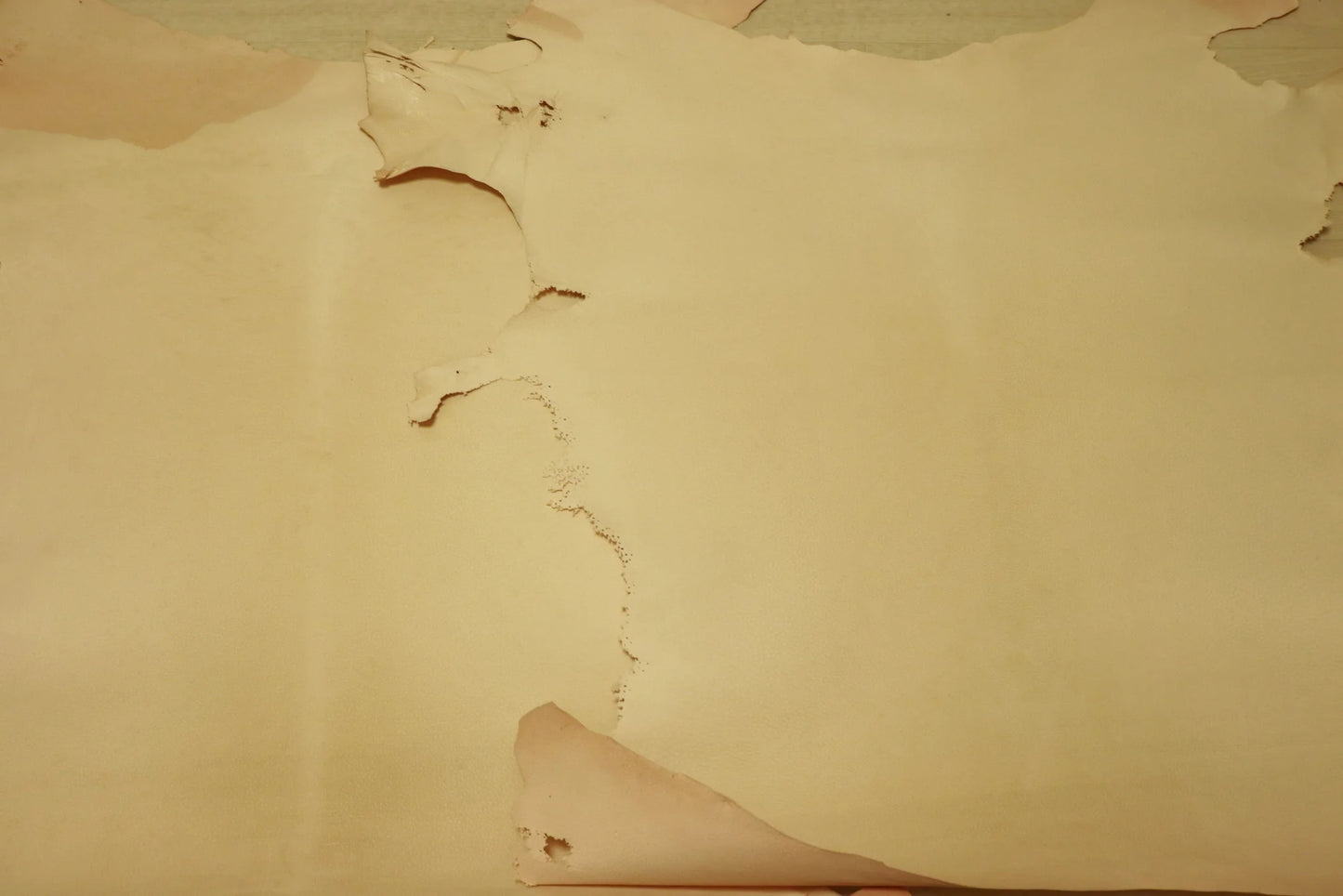 ds18円!SALE!床ヌメ ナチュラル 豚革 200ds