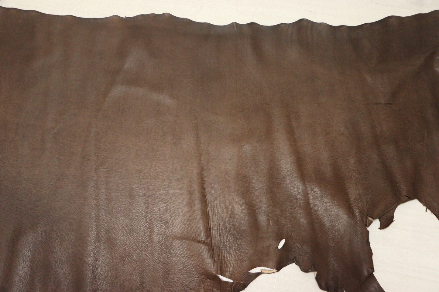 ds25円!新入荷!ヴァンダイクブラウン ハギレ スムース加工 180ds