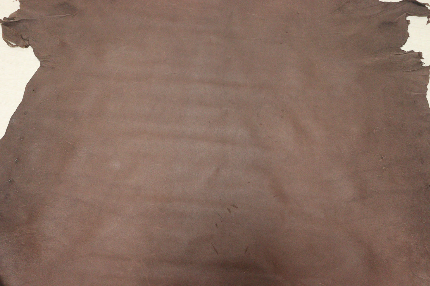 ds25円!新入荷!訳あり ココアブラウン 豚革 スムース加工 140ds