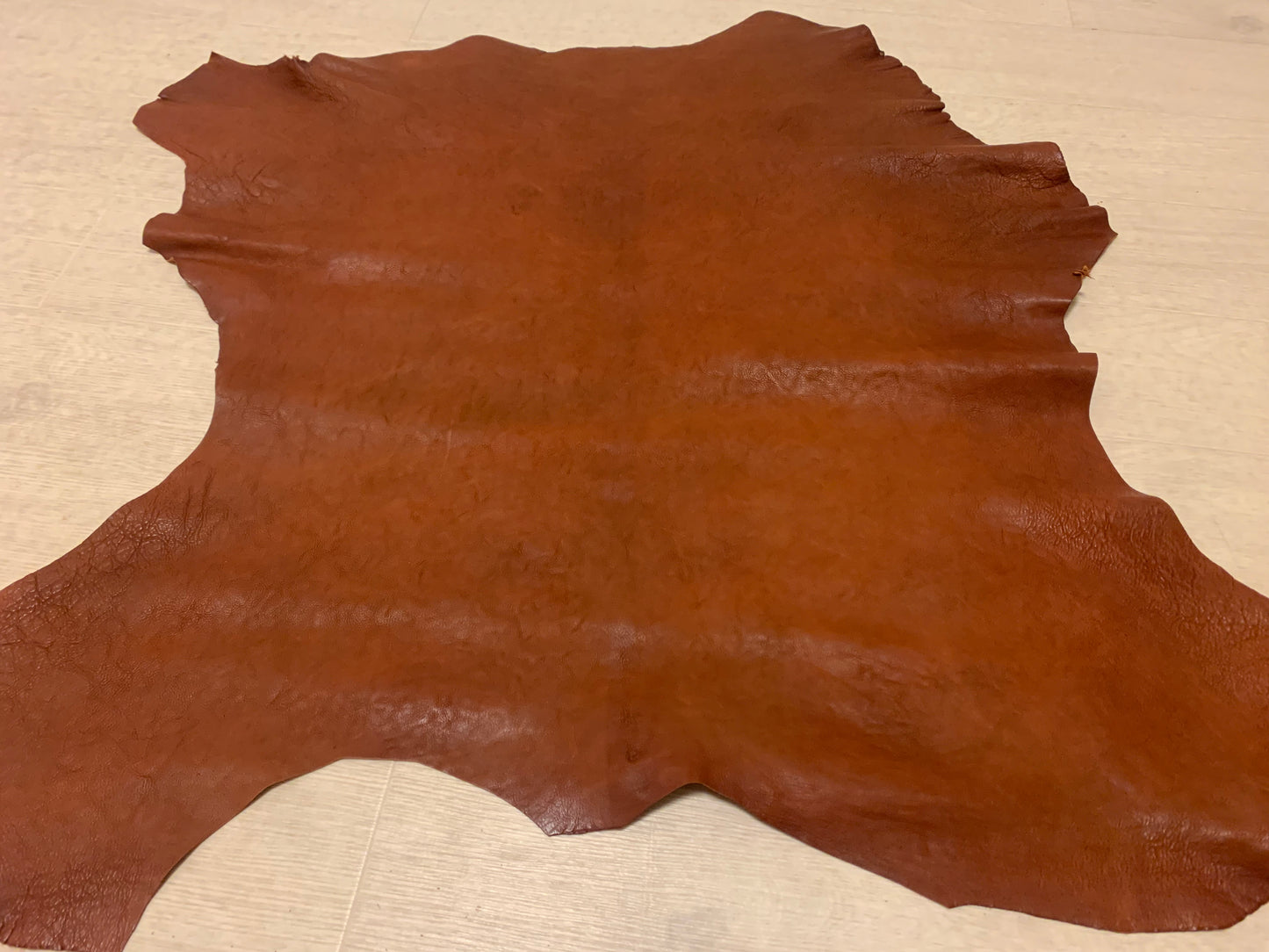 ds45円!INCAS社 レッドブラウン バッファロー オイルヌメ 59ds