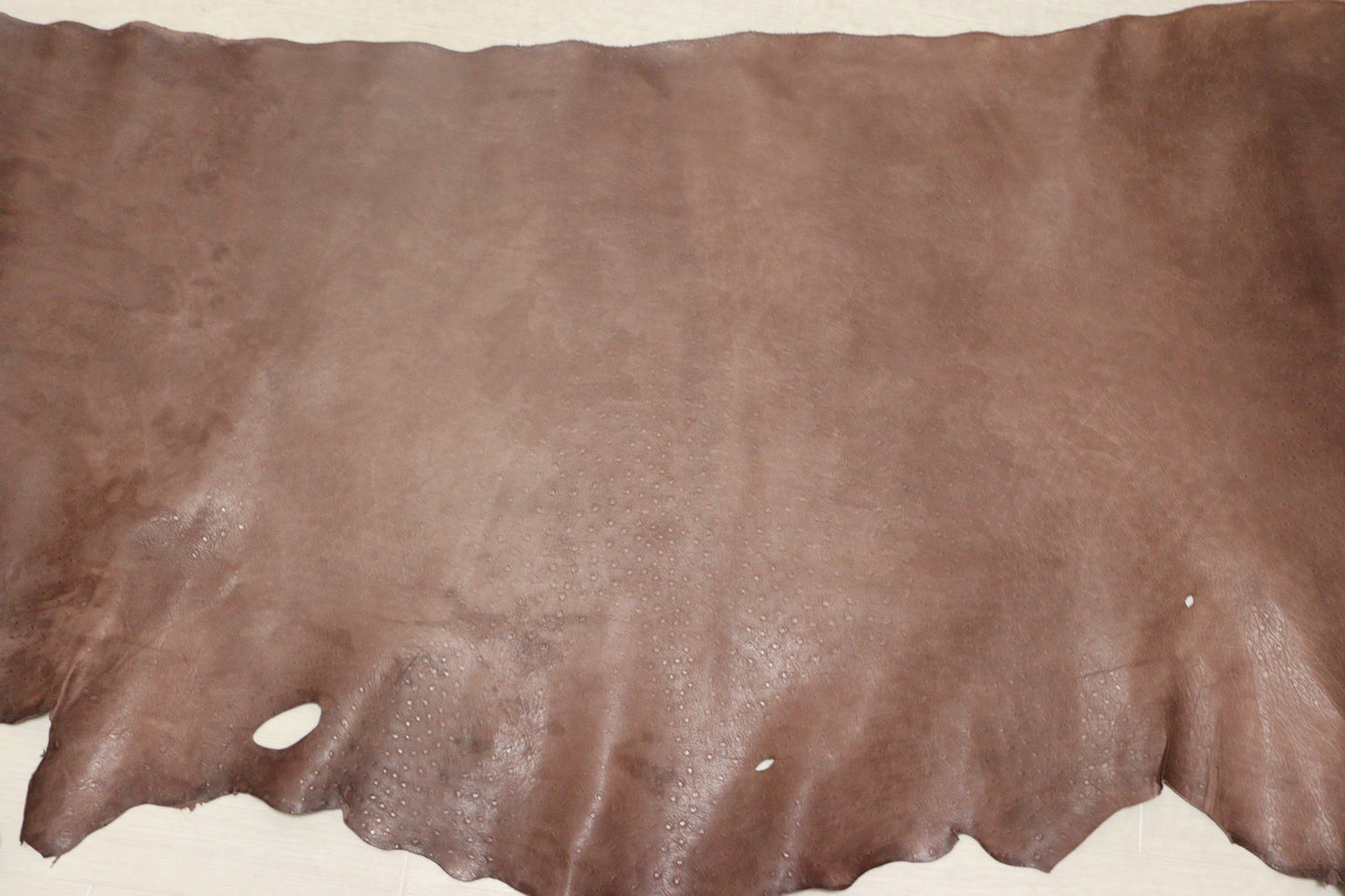 ds25円!新入荷!訳あり オースト型押し ブラウン 175ds