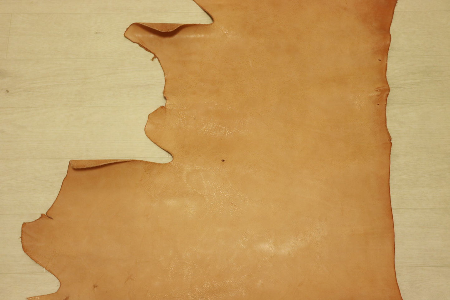 ds45円!新入荷!国産ヌメ ダコタ調 生成り 55ds