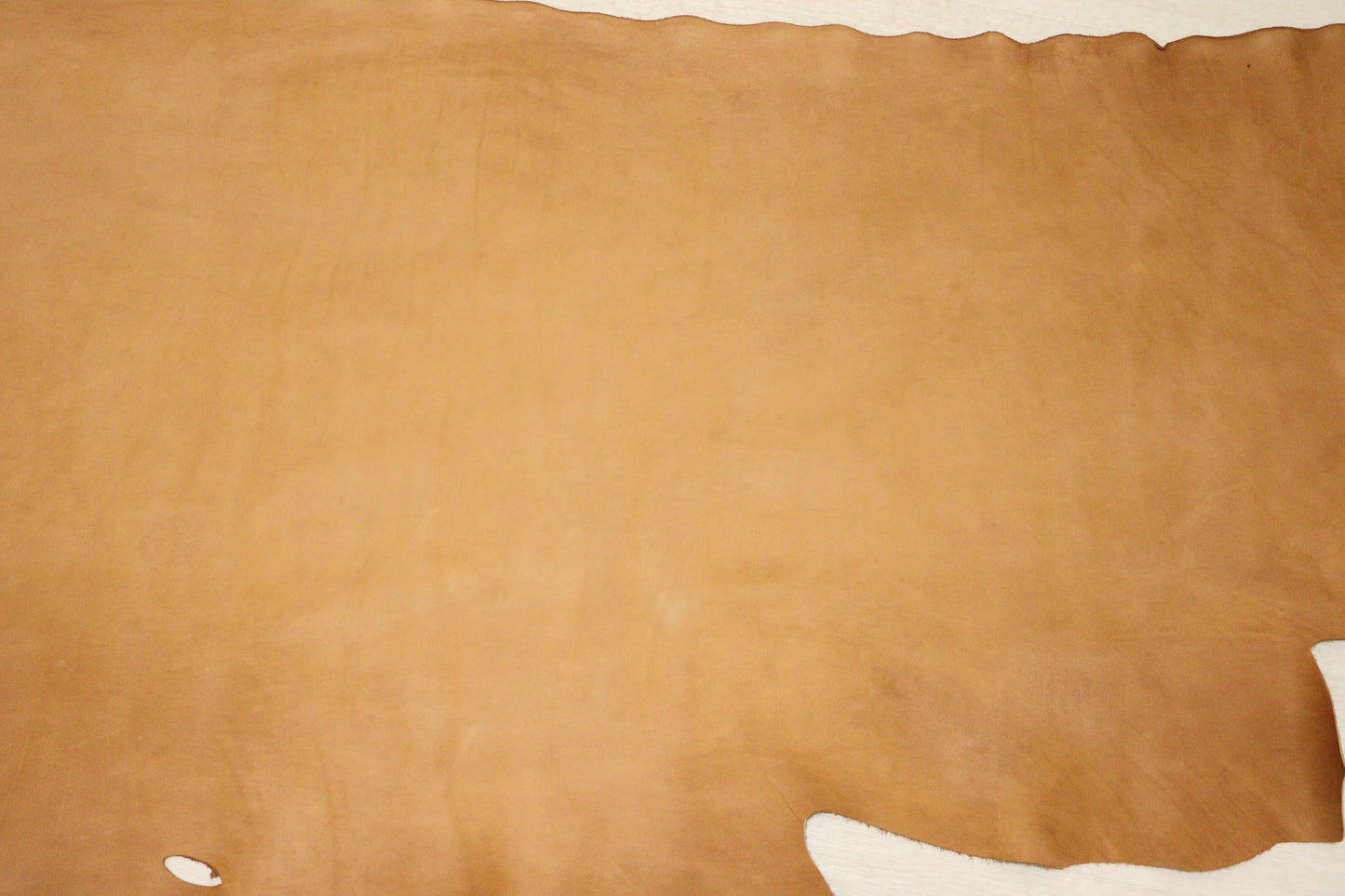 ds28円！新入荷！スムース加工　TAN　240ds