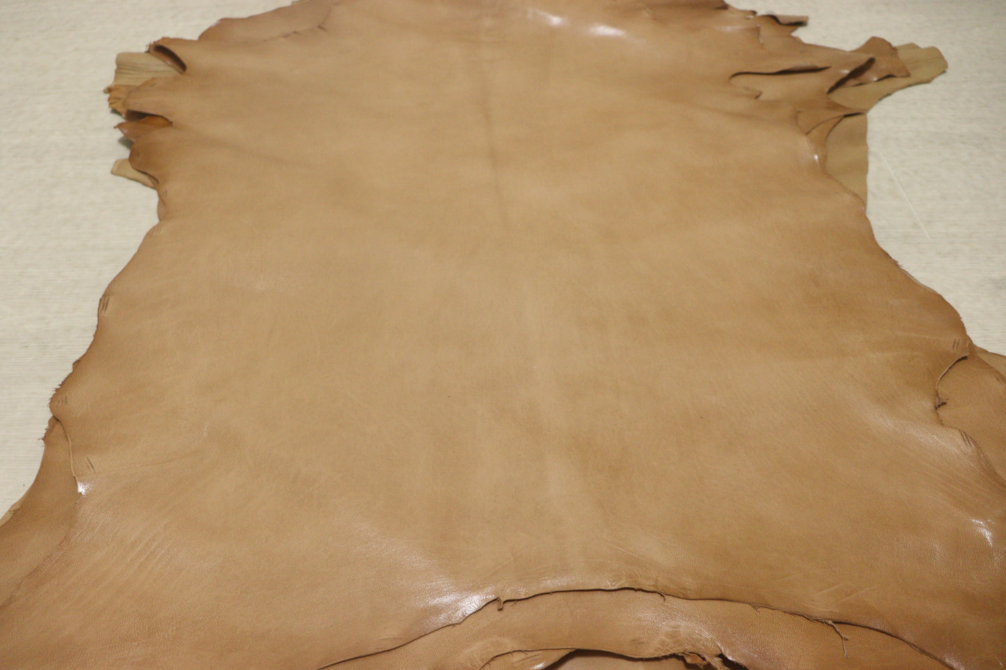 ds30円！新入荷！ヤギ　アニリン仕上げ　ヌメ革　TAN　105ds