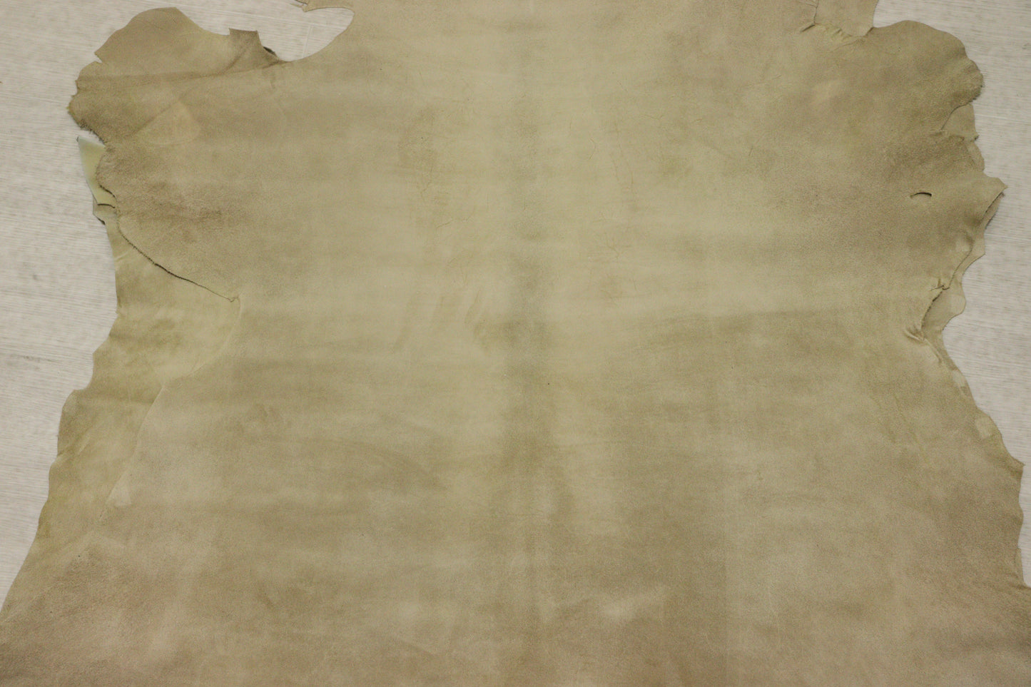 ds28円！新入荷！Wフェイス　ベージュ　スウェード　カーフスキン　86ds