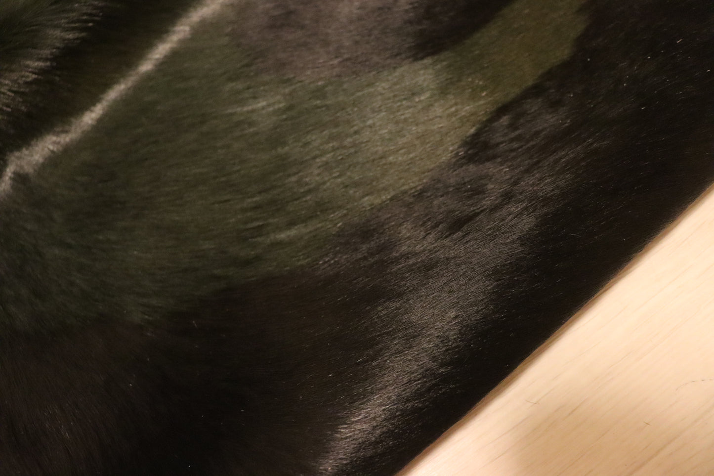 ds30円！新入荷！秋冬制作に！毛皮　ネイビー　215ds