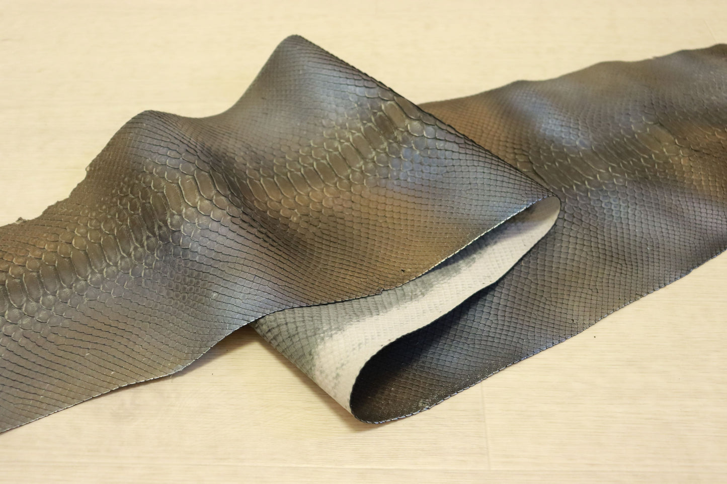 新入荷！価格固定！パイソン　最大160×30センチ　グラデーション加工　ブルー