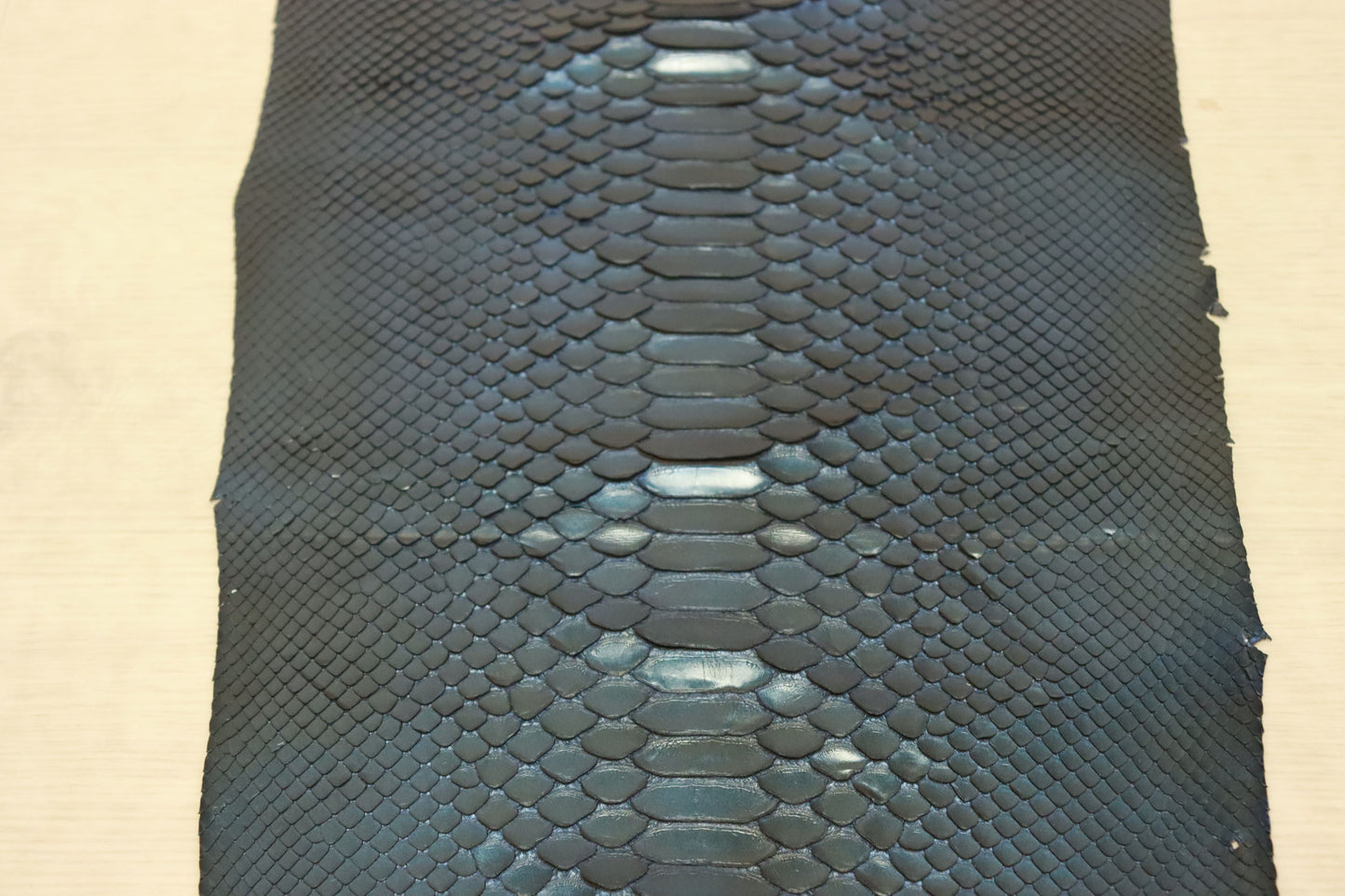 新入荷！価格固定！パイソン　最大120×26センチ　メタリックブルー