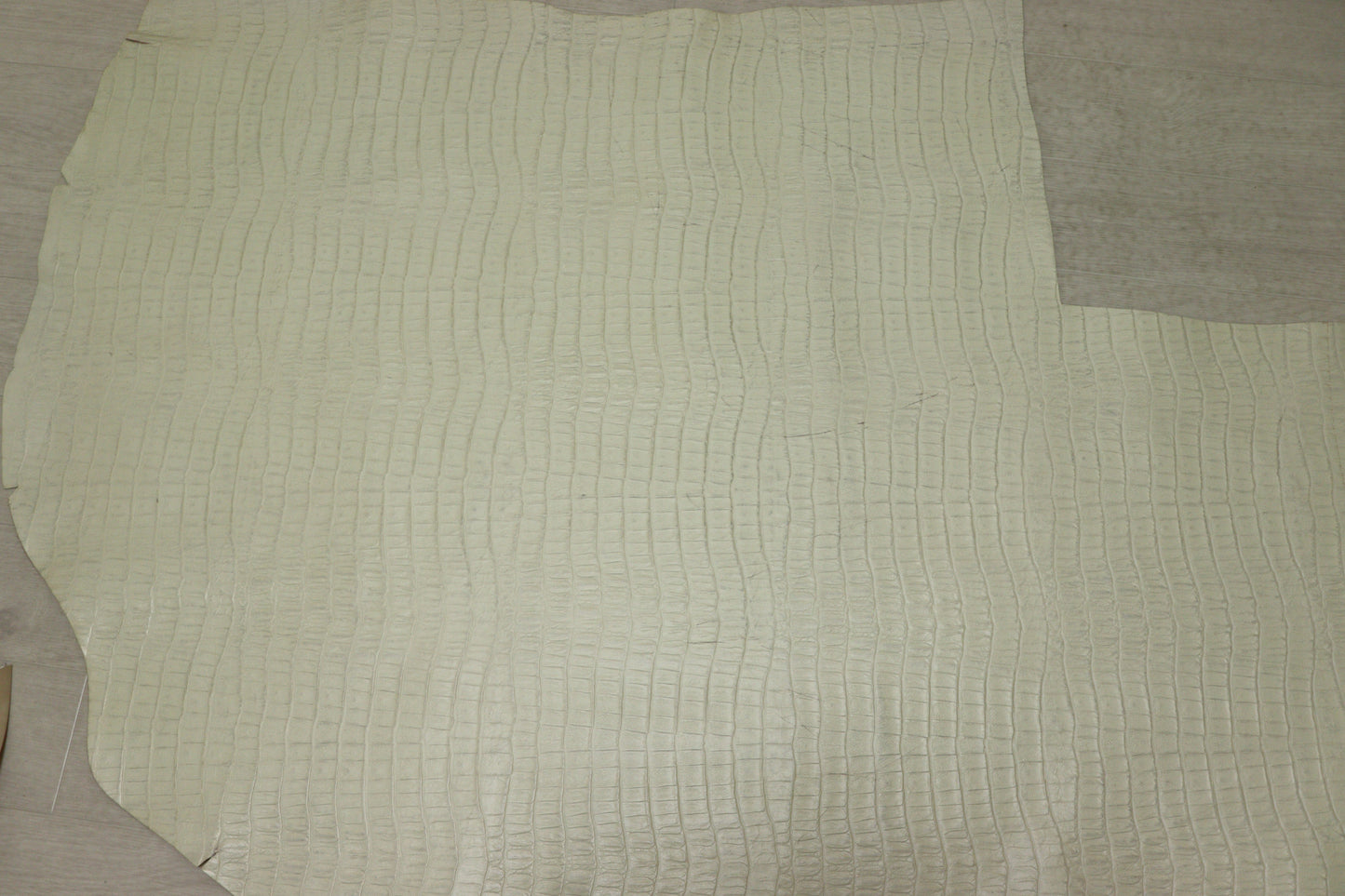 ds65円！イタリアンレザー　ショルダー　クロコ型押し　アイボリー　127ds