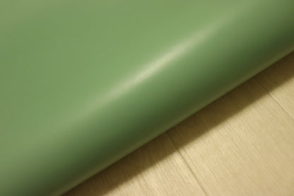 ds28円！新入荷！顔料仕上げ　アップルグリーン　230ds