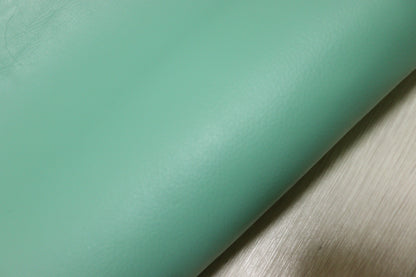 ds25円！新入荷！顔料仕上げ　アップルグリーン　190ds