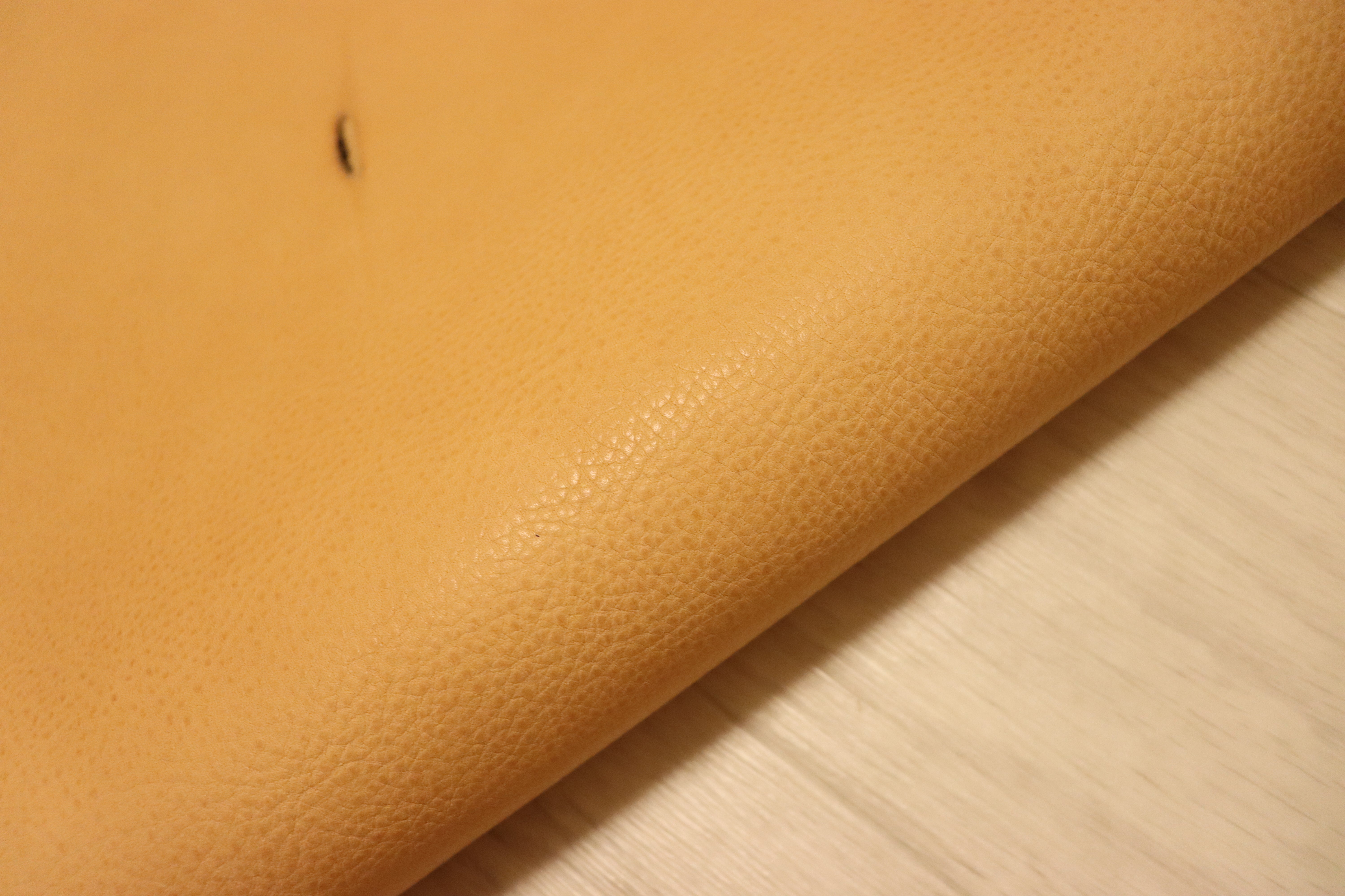 IMG_9584.jpg?v=1720510488&