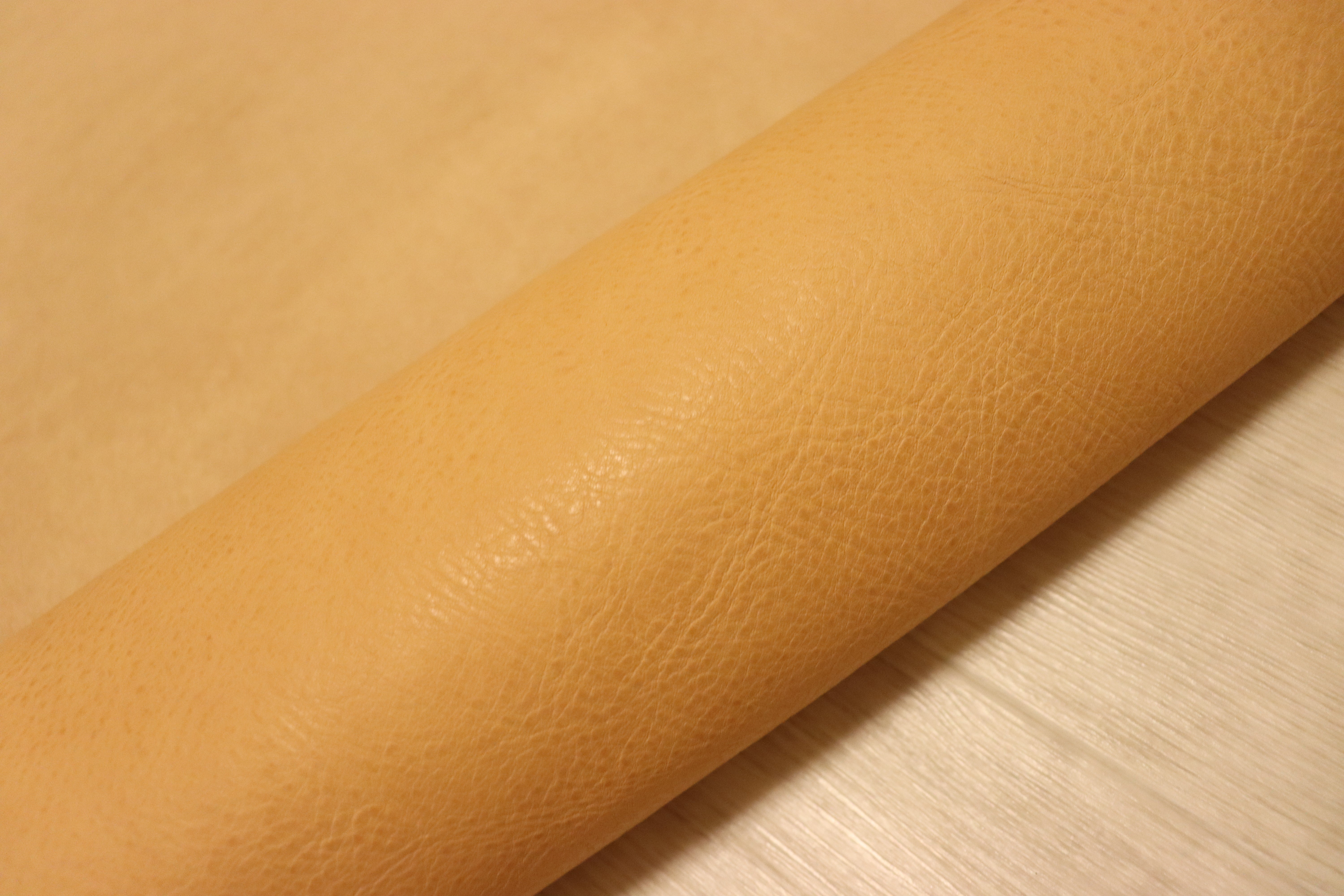 IMG_9587.jpg?v=1720510467&